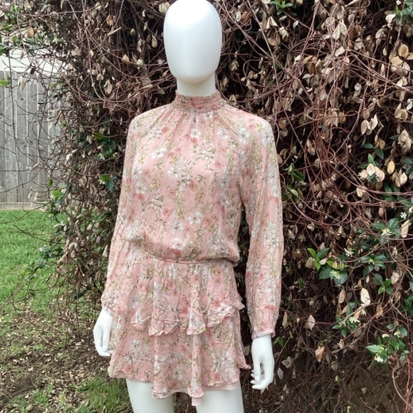 Yumi Kim Class Act In Eden Blush Boho Ruffle Mini Dress - Picture 7 of 9